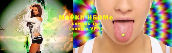 хмурый Нефтекумск