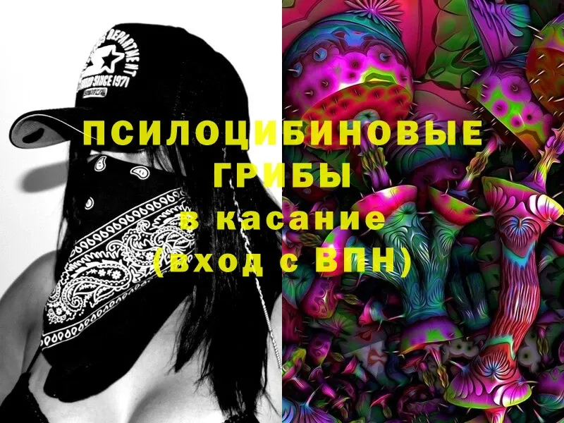 Галлюциногенные грибы Magic Shrooms  Байкальск 