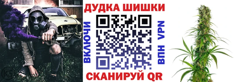 Шишки марихуана сатива  где купить   Байкальск 